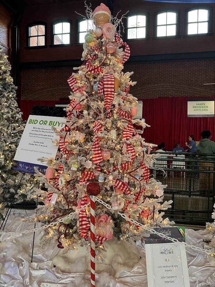 Festival of Trees and Lights 2024